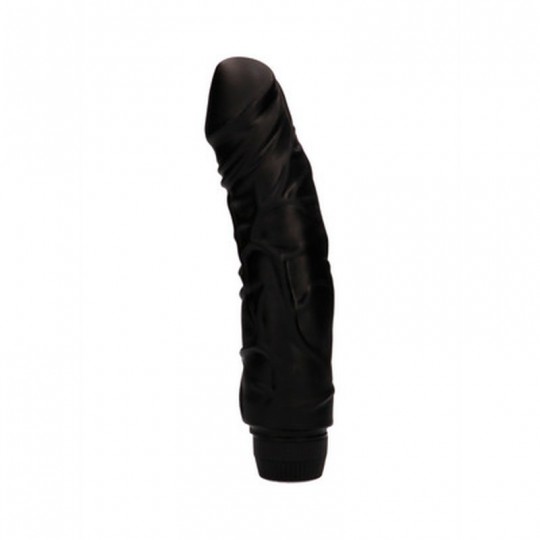 PERFECT PLEASURE - MULTISPEED VIBRATOR - 9 / 22 CM