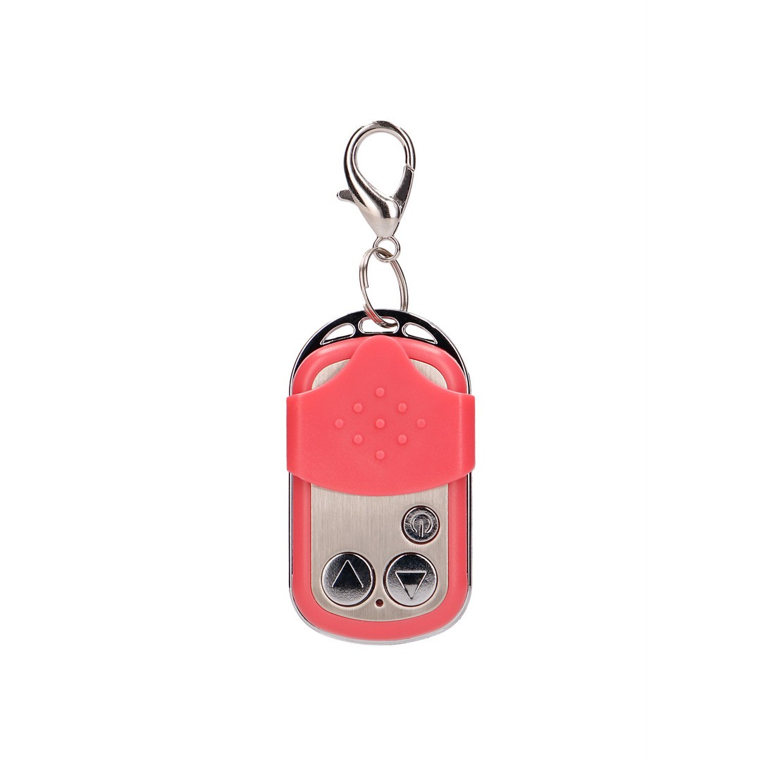 VIBRATING EGG WITH 10 SPEEDS AND REMOTE CONTROL - L - PINK