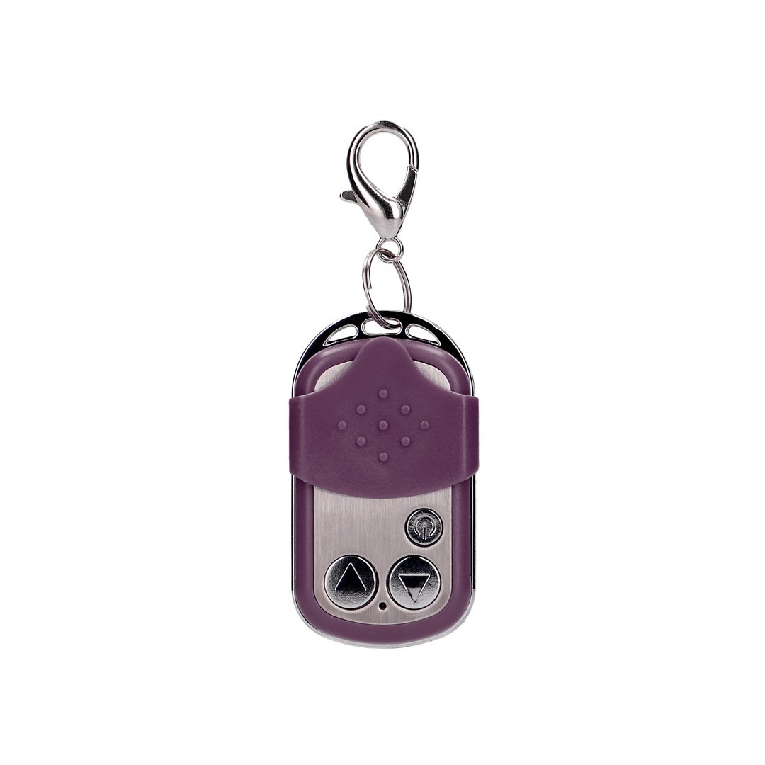 VIBRATING EGG WITH 10 SPEEDS AND REMOTE CONTROL - L - PURPLE