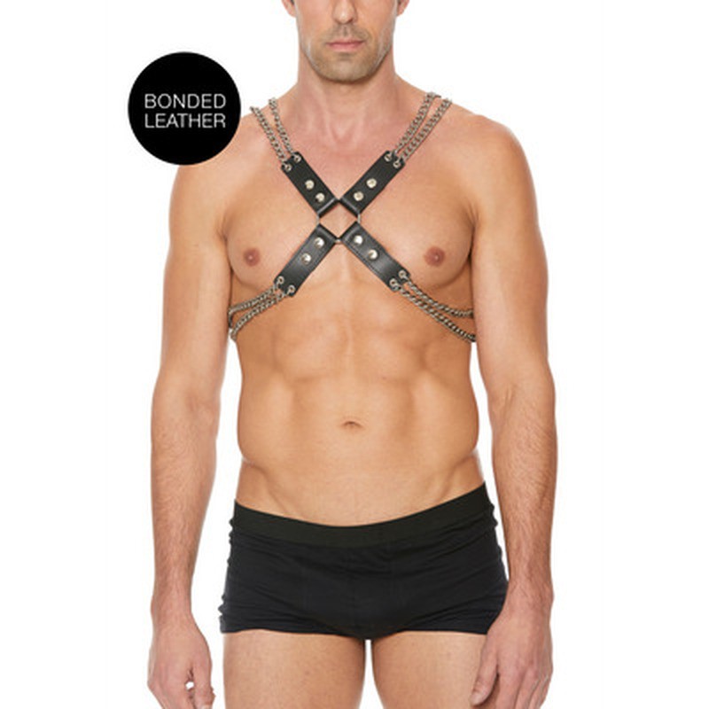 CHAIN AND CHAIN HARNESS