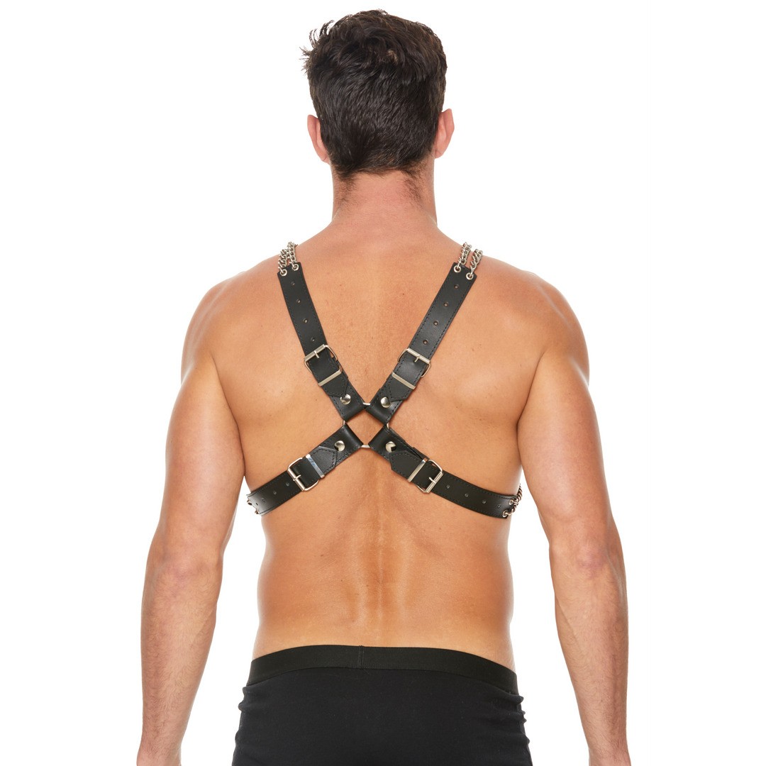 CHAIN AND CHAIN HARNESS