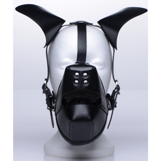 PUP - PUPPY PLAY MASK + BREATHABLE BALL GAG