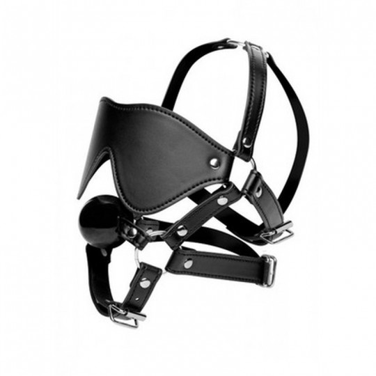 EYE MASK HARNESS WITH BALL GAG