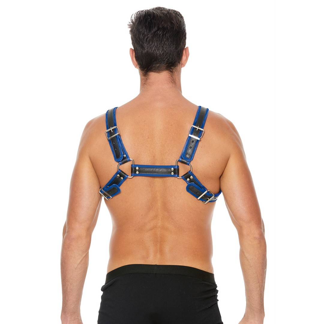 LEATHER BULLDOG HARNESS WITH BUCKLES - L/XL