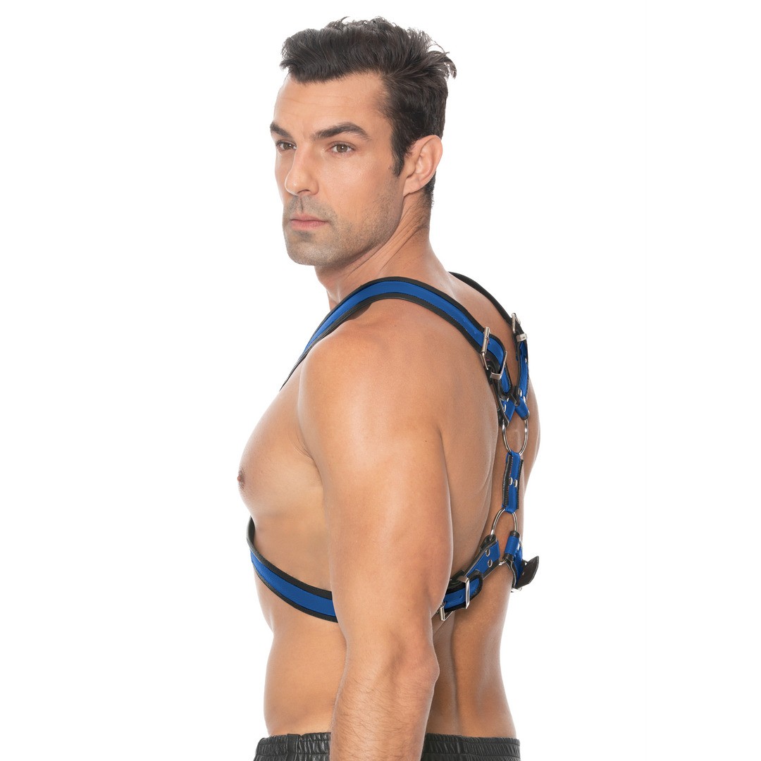 SCOTTISH LEATHER HARNESS - L/XL