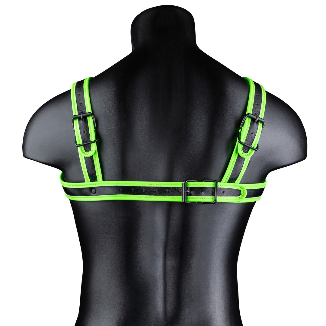 BUCKLE HARNESS - GLOW IN THE DARK - L/XL