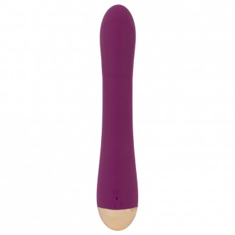 2 FUNCTION VIBRATOR