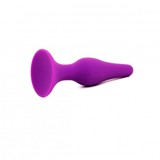 PLUG ANAL GRANDE ROXO INTIMEN