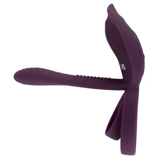 RC COUPLE‘S VIBRATOR 2