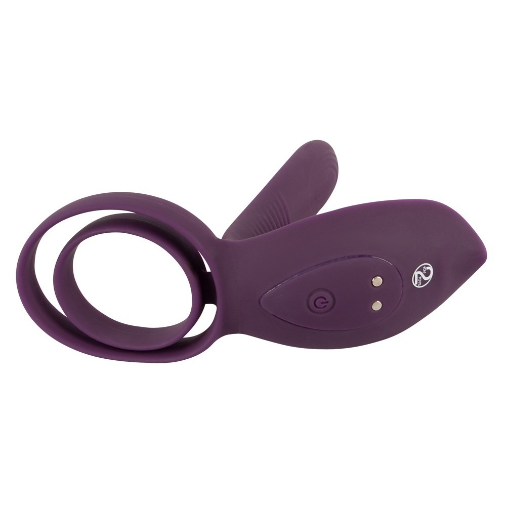 RC COUPLE‘S VIBRATOR 2