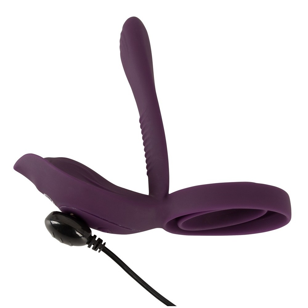 RC COUPLE‘S VIBRATOR 2