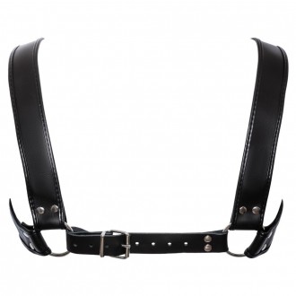 HARNESS