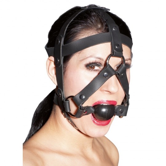 LEATHER HEAD HARNESS