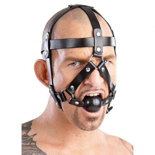 LEATHER HEAD HARNESS