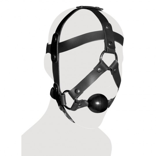 LEATHER HEAD HARNESS