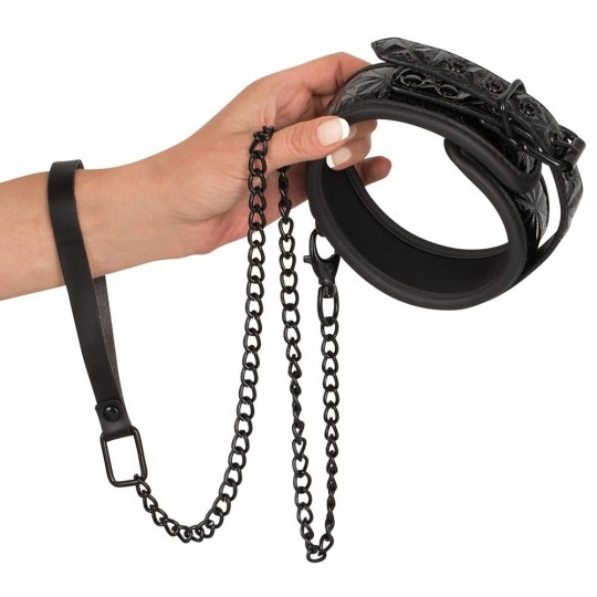 COLLAR WITH LEASH