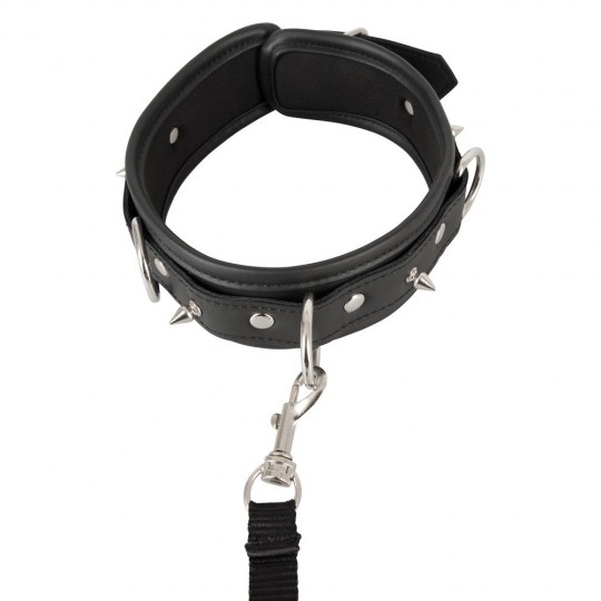 COLLAR AND LEASH