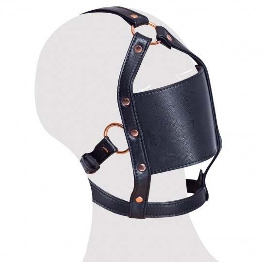 HEAD HARNESS WITH A GAG