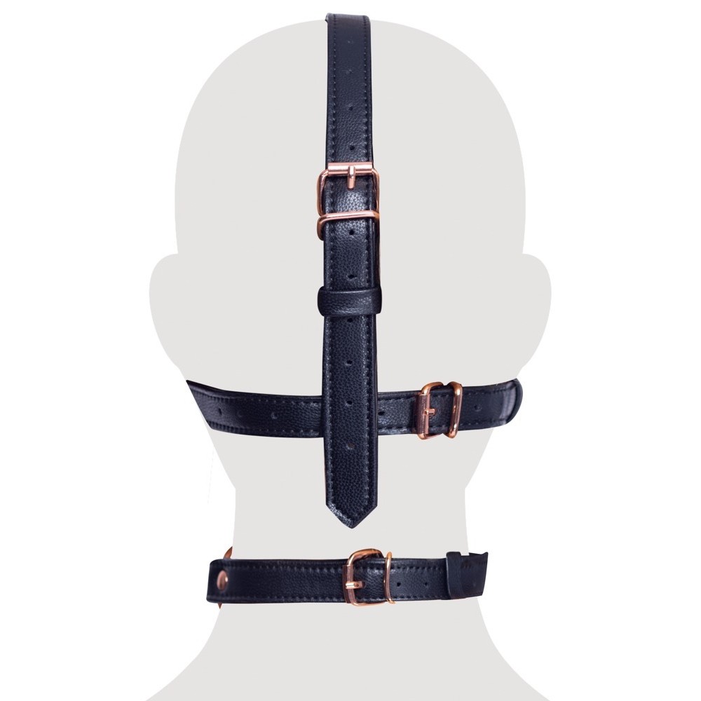 HEAD HARNESS WITH A GAG