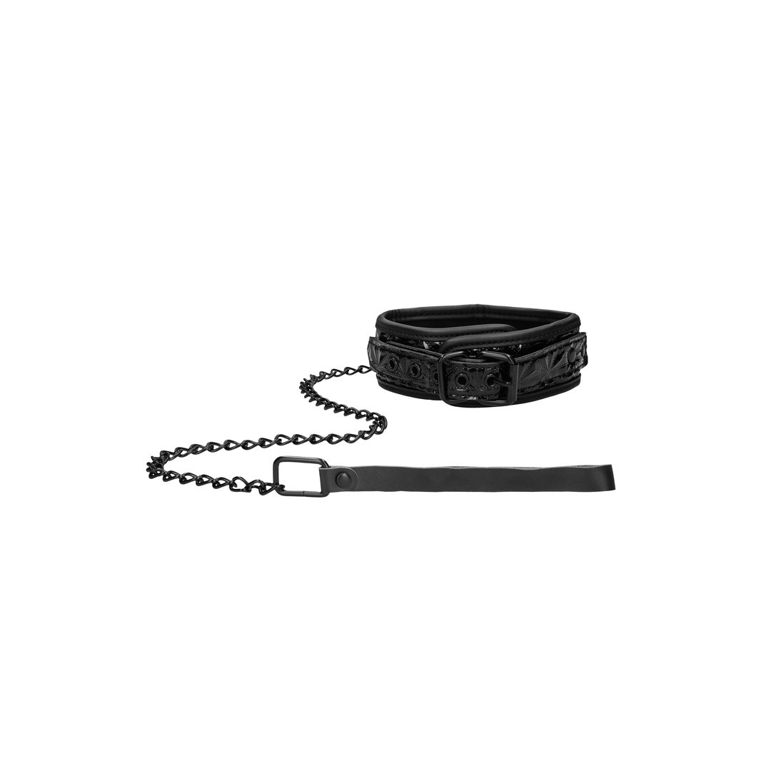 COLLAR WITH LEASH