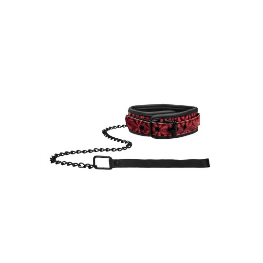 COLLAR WITH LEASH