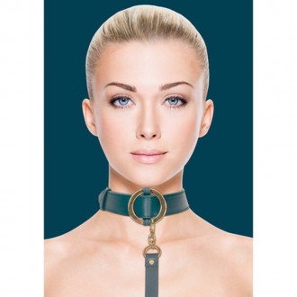 LUXURIOUS COLLAR WITH LEASH